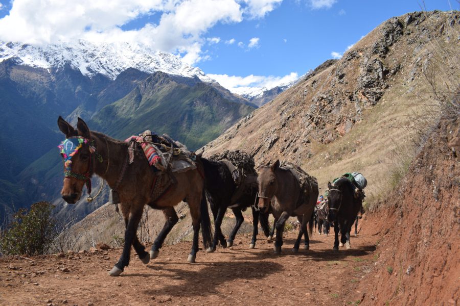 A South Peru Adventure: Mountains, Jungle & Lake – 21 Days