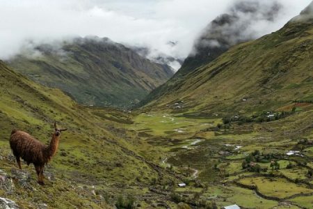 Lares Valley Trek & Travel to Machu Picchu – 3 Day