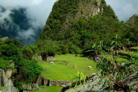 Explore Machu Picchu (Ollantaytambo) – 1 Day