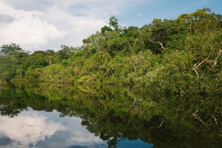 Amazon Jungle: Tambopata Packrafting – 7 Days