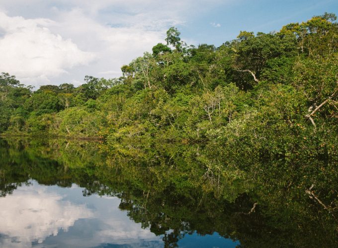 Amazon Jungle: Tambopata Packrafting – 7 Days