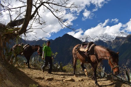 Choquequirao Trek to Machu Picchu – 7 or 8 Days