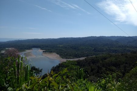 Amazon Jungle: Manu Reserve – 7 Days