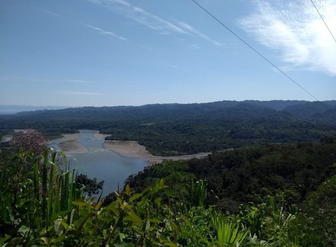 Amazon Jungle: Manu Reserve – 7 Days